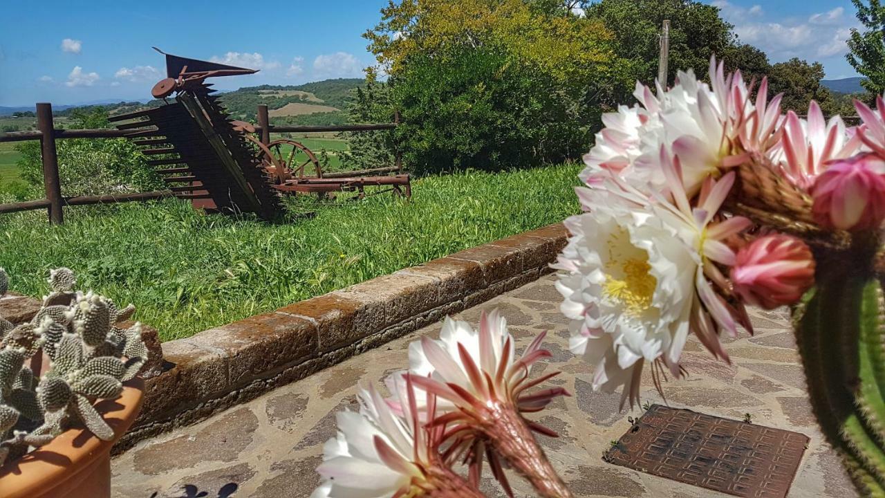 Villa Sonnellino In Maremma à Massa Marittima Extérieur photo