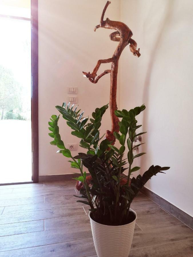 Villa Sonnellino In Maremma à Massa Marittima Extérieur photo